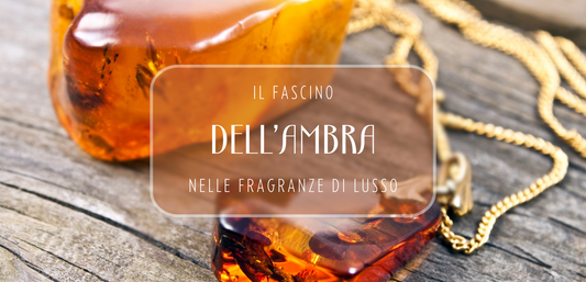 Vi siete mai chiesti perché Ambra è cosi spesso utilizzata nelle fragranze più esclusive?